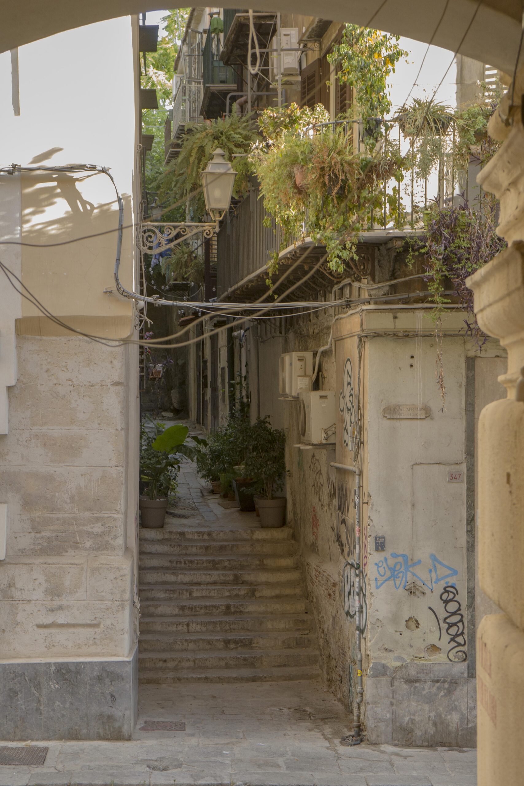 Palermo. Forme del suolo. Architettura della città. Giuseppe Ferrarella. Donata Sasso.